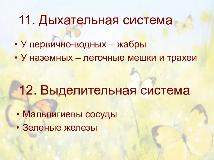 11. Дыхательная система У первично-водных – жабры У наземных – легочные