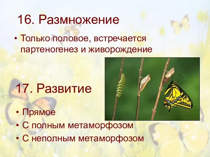 16. Размножение Только половое, встречается партеногенез и живорождение 17. Развитие Прямое