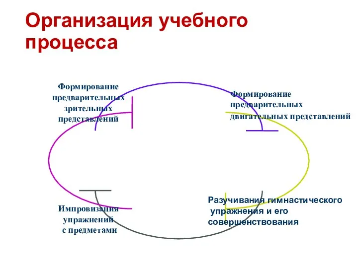 Организация учебного процесса Формирование предварительных двигательных представлений Разучивания гимнастического упражнения и его совершенствования