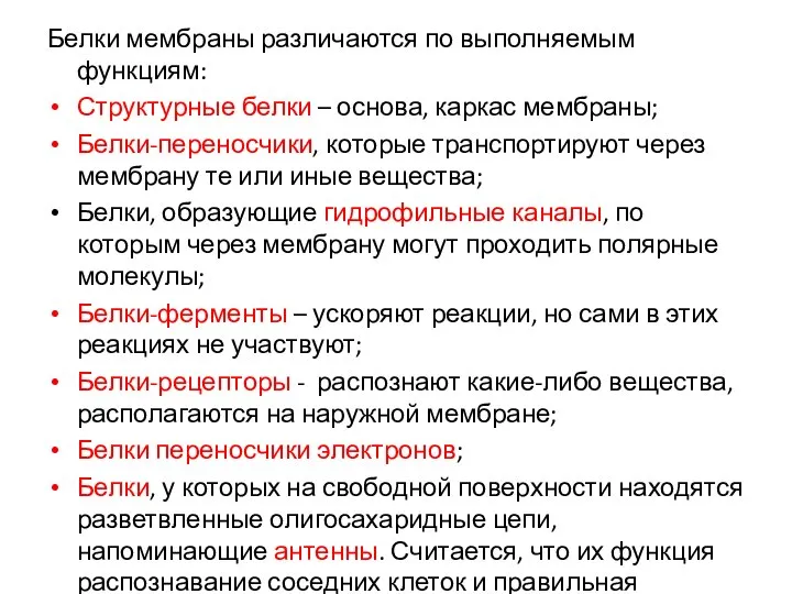 Белки мембраны различаются по выполняемым функциям: Структурные белки – основа, каркас