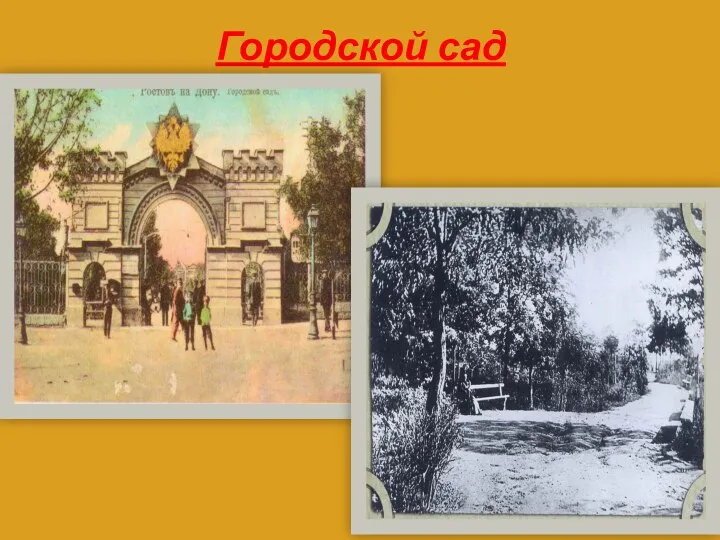 Городской сад