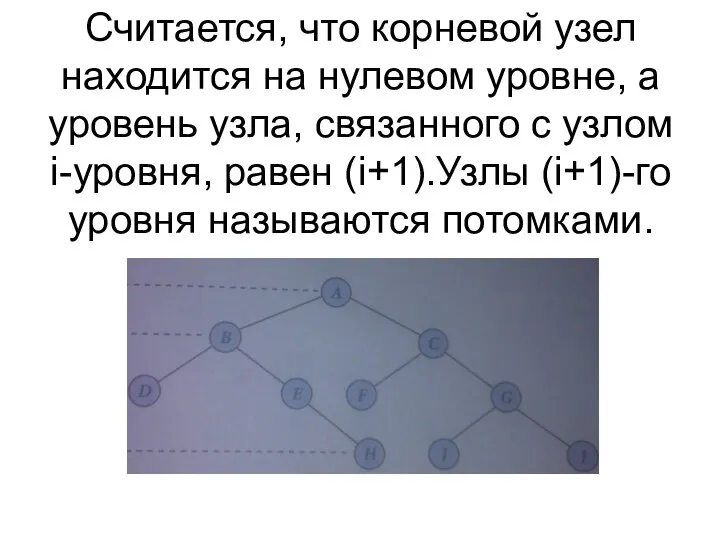 Считается, что корневой узел находится на нулевом уровне, а уровень узла,