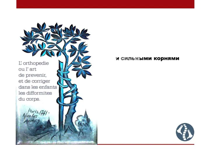 Сколиозбен ауыратын науқастың денесі алып бұтақтары және күшті тамырлары қисық ағаштың діңіне ұқсайды Гиппократ