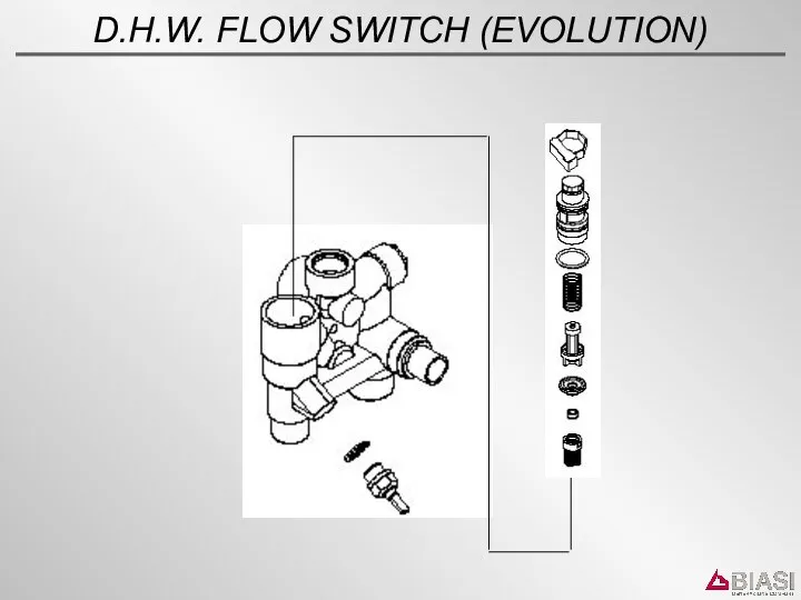 D.H.W. FLOW SWITCH (EVOLUTION)