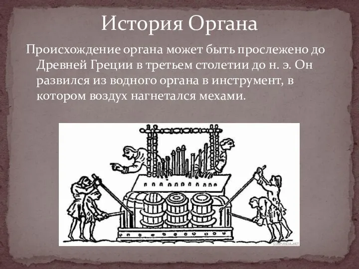 Происхождение органа может быть прослежено до Древней Греции в третьем столетии