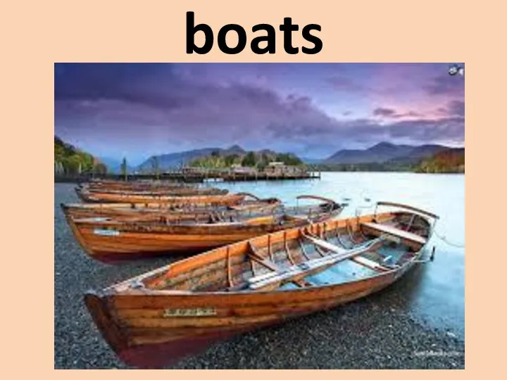 boats