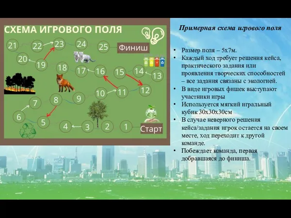 Примерная схема игрового поля Размер поля – 5х7м. Каждый ход требует