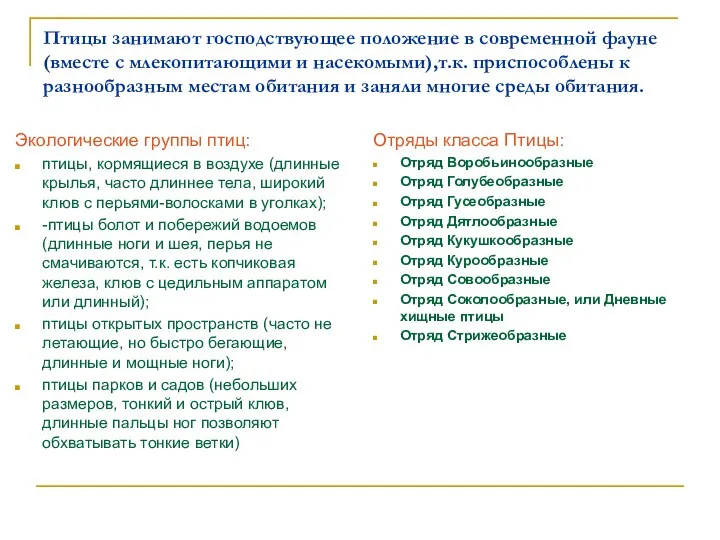 Птицы занимают господствующее положение в современной фауне (вместе с млекопитающими и