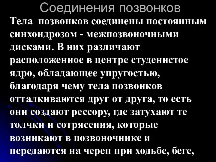 Соединения позвонков Тела позвонков соединены постоянным синхондрозом - межпозвоночными дисками. В