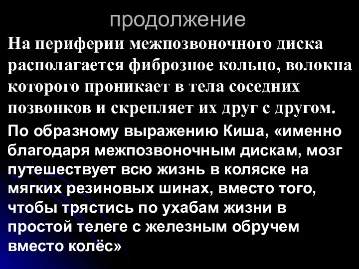 продолжение На периферии межпозвоночного диска располагается фиброзное кольцо, волокна которого проникает