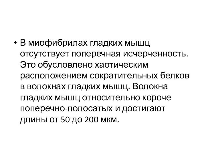 В миофибрилах гладких мышц отсутствует поперечная исчерченность. Это обусловлено хаотическим расположением