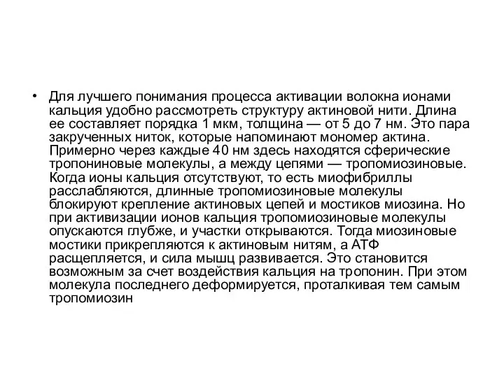 Для лучшего понимания процесса активации волокна ионами кальция удобно рассмотреть структуру