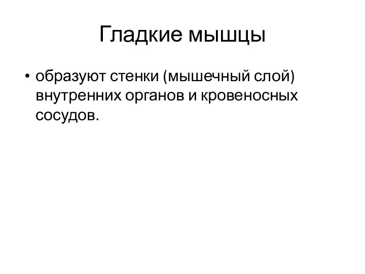 Гладкие мышцы образуют стенки (мышечный слой) внутренних органов и кровеносных сосудов.