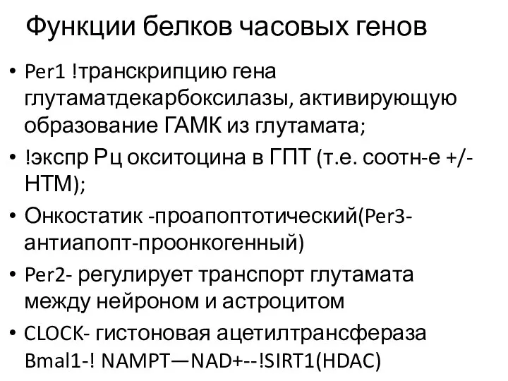 Функции белков часовых генов Per1 !транскрипцию гена глутаматдекарбоксилазы, активирующую образование ГАМК