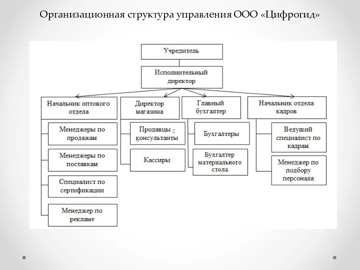 Организационная структура управления ООО «Цифрогид»