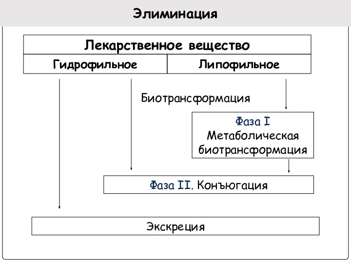 Элиминация Лекарственное вещество Гидрофильное Липофильное Биотрансформация Фаза I Метаболическая биотрансформация Фаза II. Конъюгация Экскреция