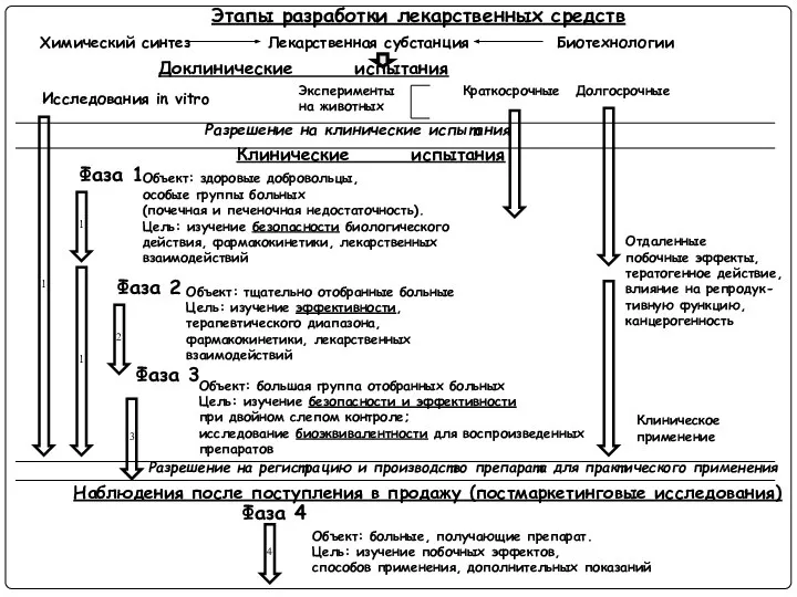 Доклинические испытания Фаза 1 Клинические испытания Объект: здоровые добровольцы, особые группы