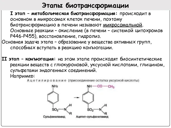 Этапы биотрансформации I этап – метаболическая биотрансформация: происходит в основном в