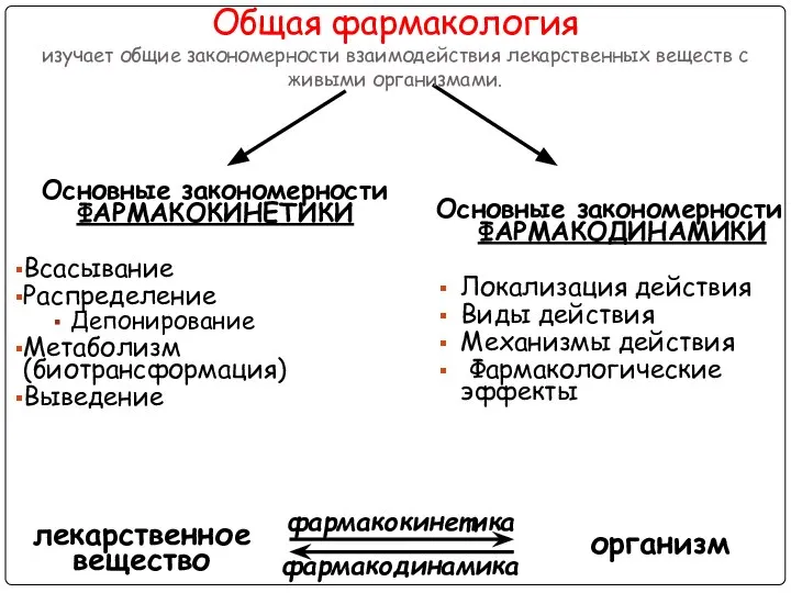 Основные закономерности ФАРМАКОКИНЕТИКИ Всасывание Распределение Депонирование Метаболизм (биотрансформация) Выведение Основные закономерности