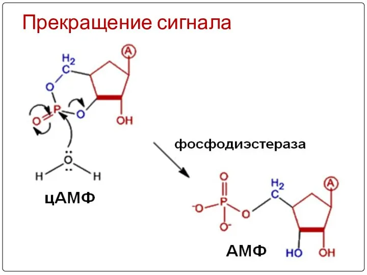 Прекращение сигнала