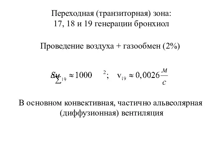 Переходная (транзиторная) зона: 17, 18 и 19 генерации бронхиол Проведение воздуха