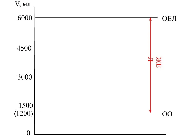 V, мл ОЕЛ ОО ЖЕЛ