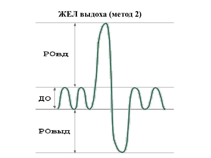 ЖЕЛ выдоха (метод 2)