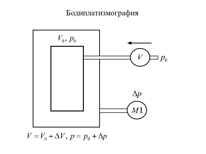 Бодиплатизмография