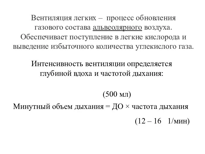 Вентиляция легких – процесс обновления газового состава альвеолярного воздуха. Обеспечивает поступление