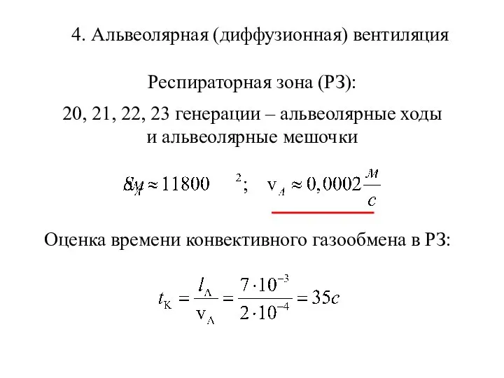 4. Альвеолярная (диффузионная) вентиляция Респираторная зона (РЗ): 20, 21, 22, 23