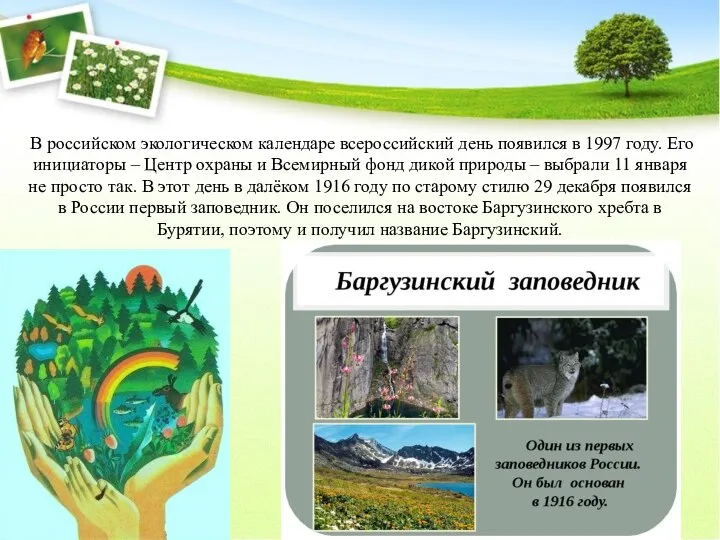 В российском экологическом календаре всероссийский день появился в 1997 году. Его