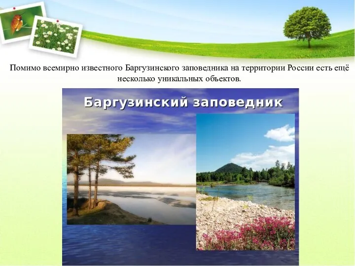 Помимо всемирно известного Баргузинского заповедника на территории России есть ещё несколько уникальных объектов.