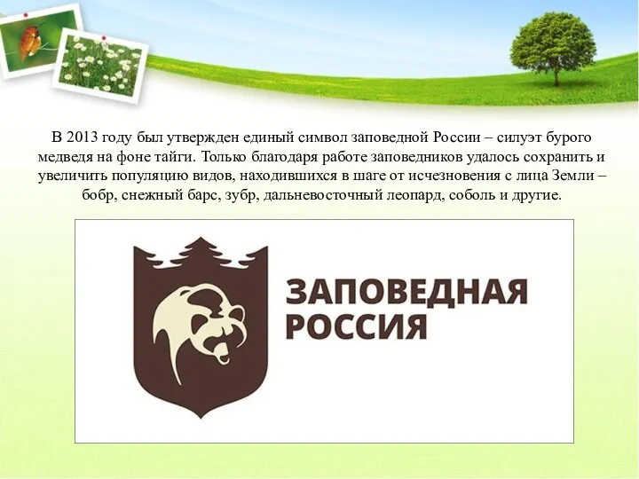 В 2013 году был утвержден единый символ заповедной России – силуэт