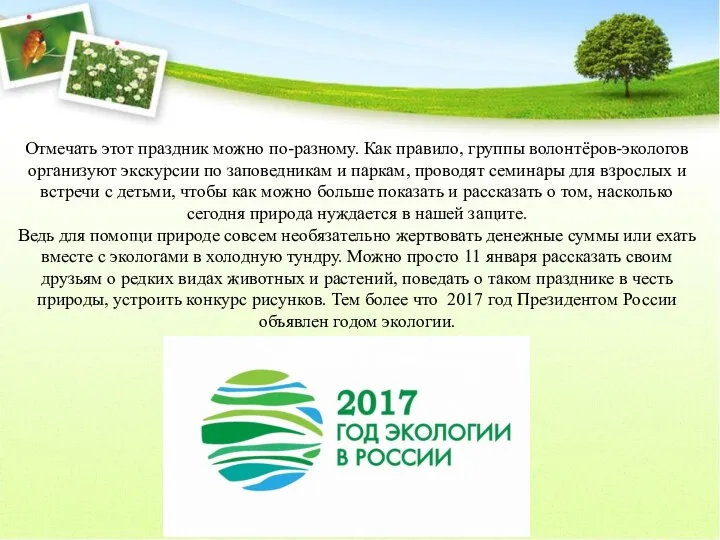 Отмечать этот праздник можно по-разному. Как правило, группы волонтёров-экологов организуют экскурсии