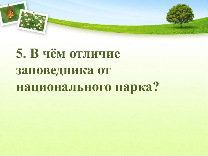 5. В чём отличие заповедника от национального парка?