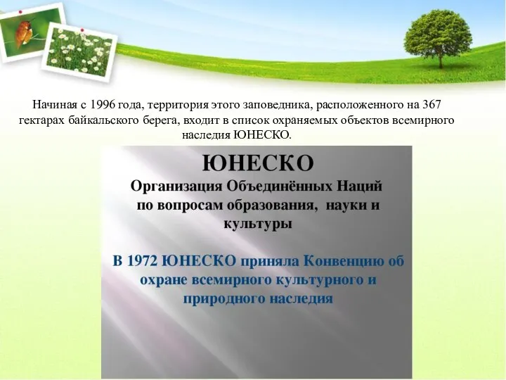 Начиная с 1996 года, территория этого заповедника, расположенного на 367 гектарах