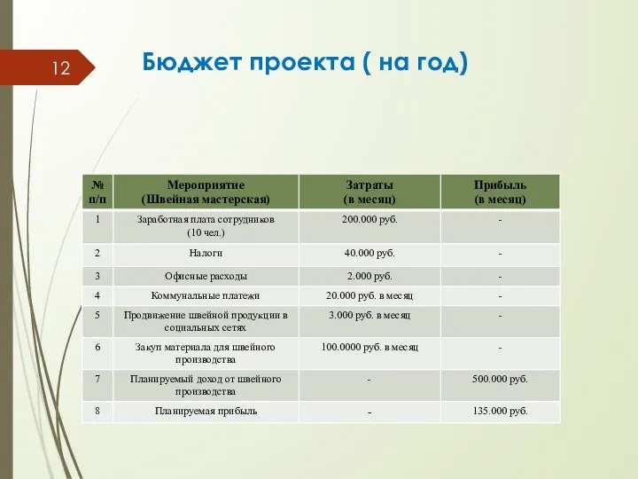 Бюджет проекта ( на год)