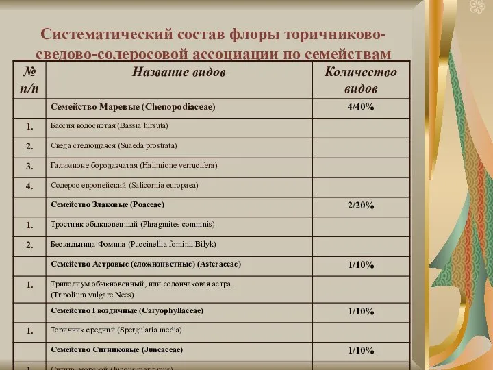 Систематический состав флоры торичниково-сведово-солеросовой ассоциации по семействам