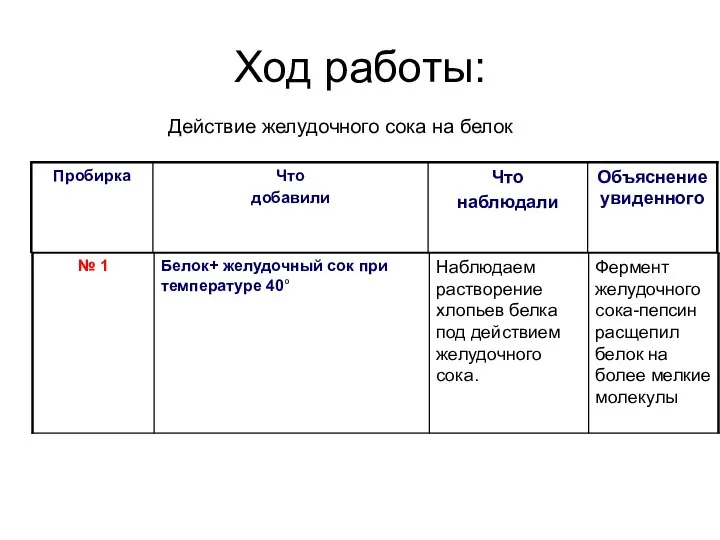 Ход работы: Действие желудочного сока на белок