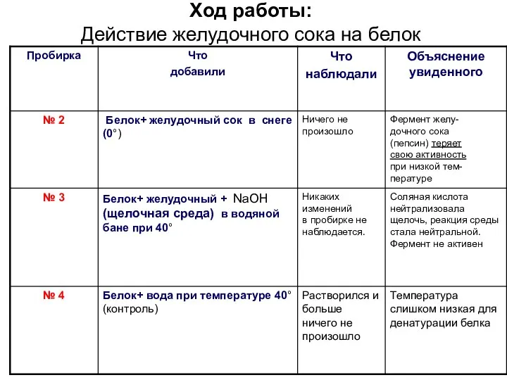 Ход работы: Действие желудочного сока на белок