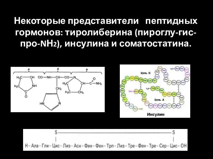 Некоторые представители пептидных гормонов: тиролиберина (пироглу-гис-про-NН2), инсулина и соматостатина.