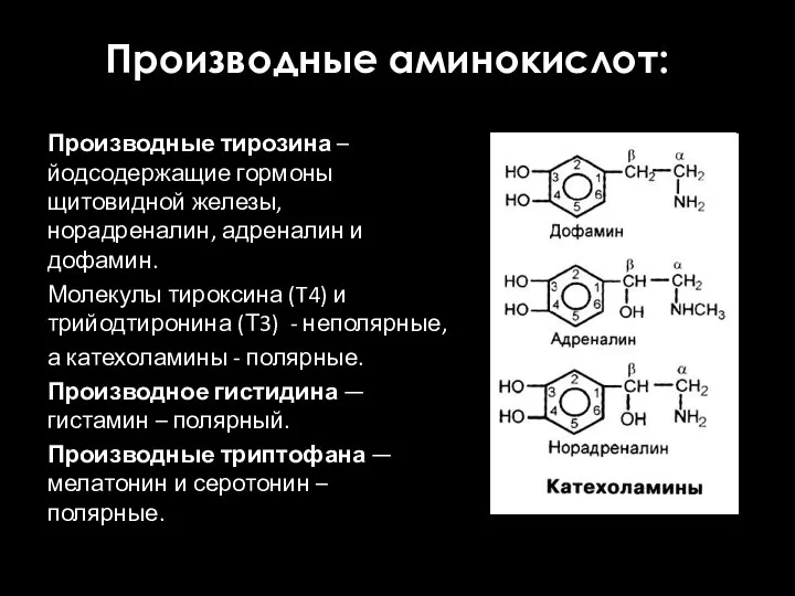 Производные аминокислот: Производные тирозина – йодсодержащие гормоны щитовидной железы, норадреналин, адреналин