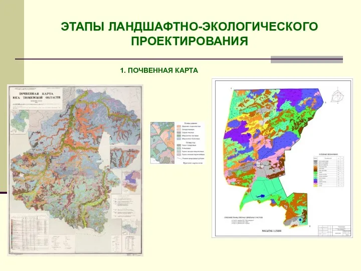 ЭТАПЫ ЛАНДШАФТНО-ЭКОЛОГИЧЕСКОГО ПРОЕКТИРОВАНИЯ 1. ПОЧВЕННАЯ КАРТА