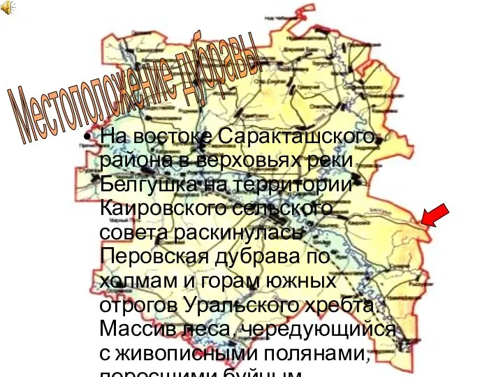 На востоке Саракташского района в верховьях реки Белгушка на территории Каировского