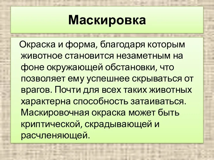 Маскировка Окраска и форма, благодаря которым животное становится незаметным на фоне