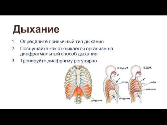 Дыхание Определите привычный тип дыхания Послушайте как откликается организм на диафрагмальный способ дыхания Тренируйте диафрагму регулярно