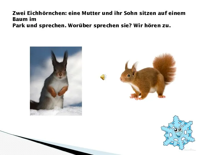 Zwei Eichhörnchen: eine Mutter und ihr Sohn sitzen auf einem Baum