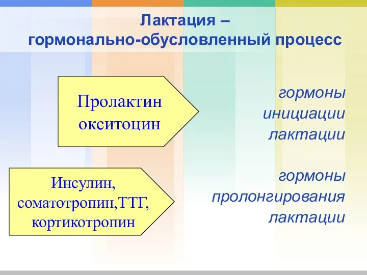 Лактация – гормонально-обусловленный процесс гормоны инициации лактации гормоны пролонгирования лактации Пролактин окситоцин Инсулин, соматотропин,ТТГ, кортикотропин