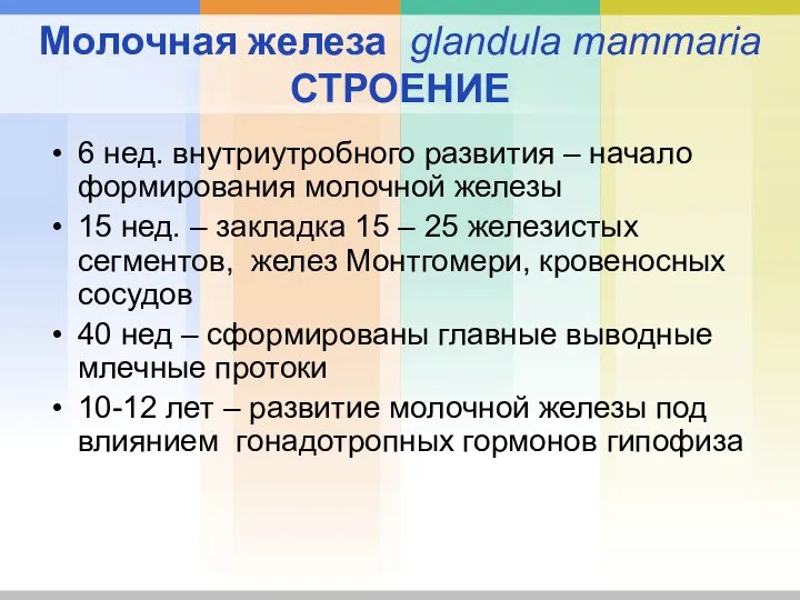 Молочная железа glandula mammaria СТРОЕНИЕ 6 нед. внутриутробного развития – начало