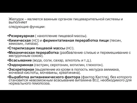 Желудок – является важным органом пищеварительной системы и выполняет следующие функции: